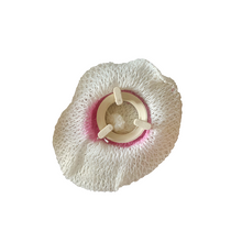 Load image into Gallery viewer, Soft Mantles 2pk