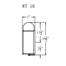 Load image into Gallery viewer, Whitney 18 - WT18